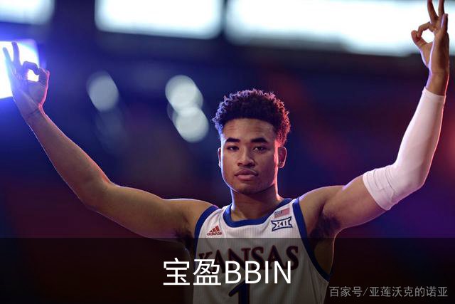 宝盈BBIN公司简介